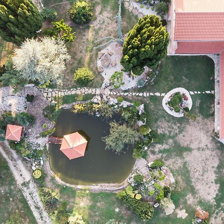 Villa Garden Zalaegerszeg Εξωτερικό φωτογραφία