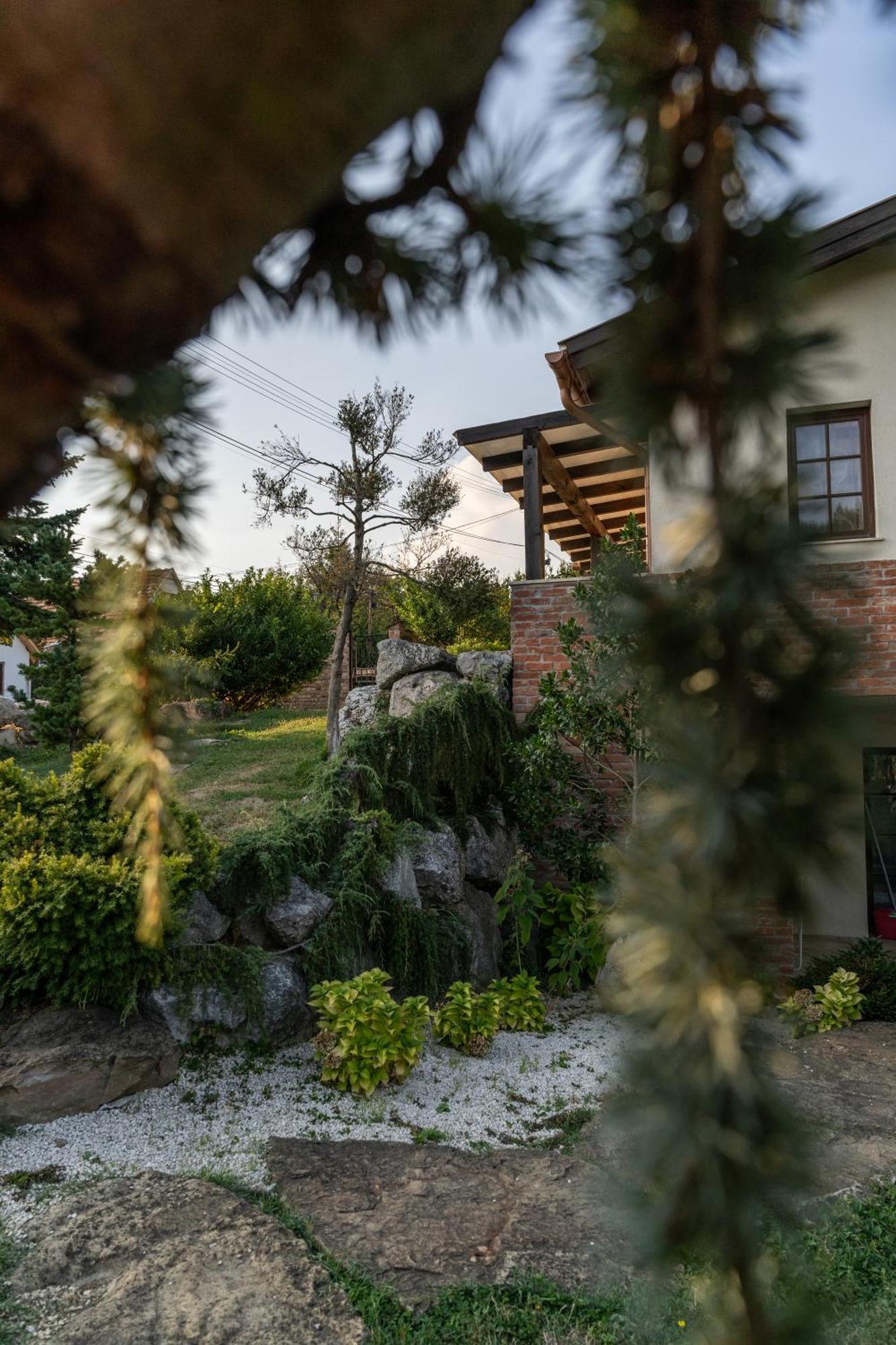 Villa Garden Zalaegerszeg Εξωτερικό φωτογραφία