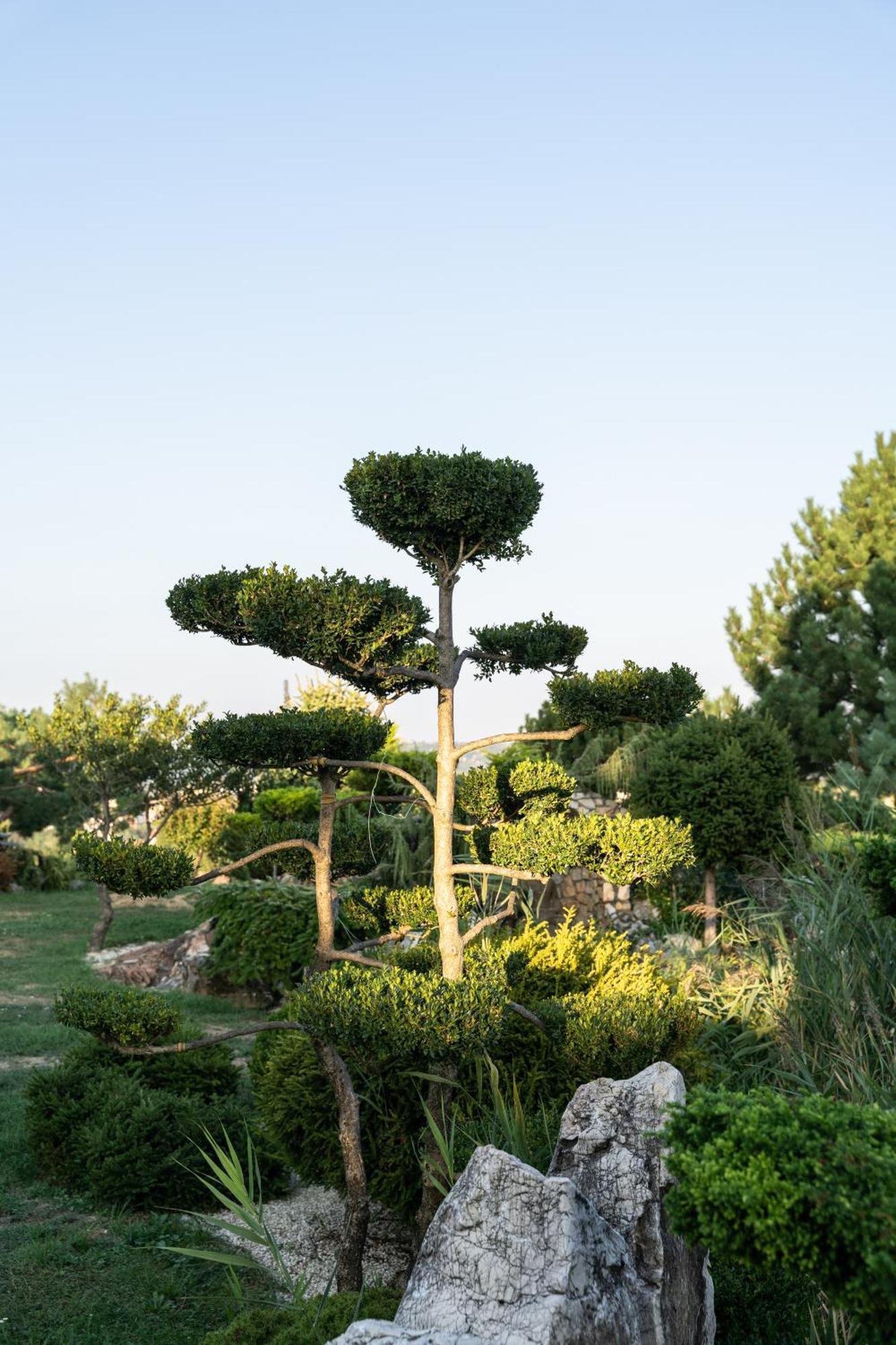 Villa Garden Zalaegerszeg Εξωτερικό φωτογραφία
