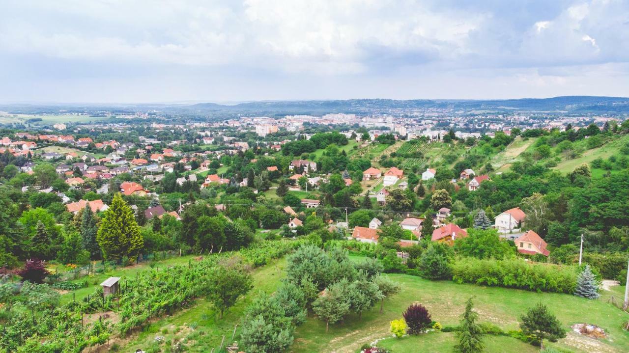 Villa Garden Zalaegerszeg Εξωτερικό φωτογραφία