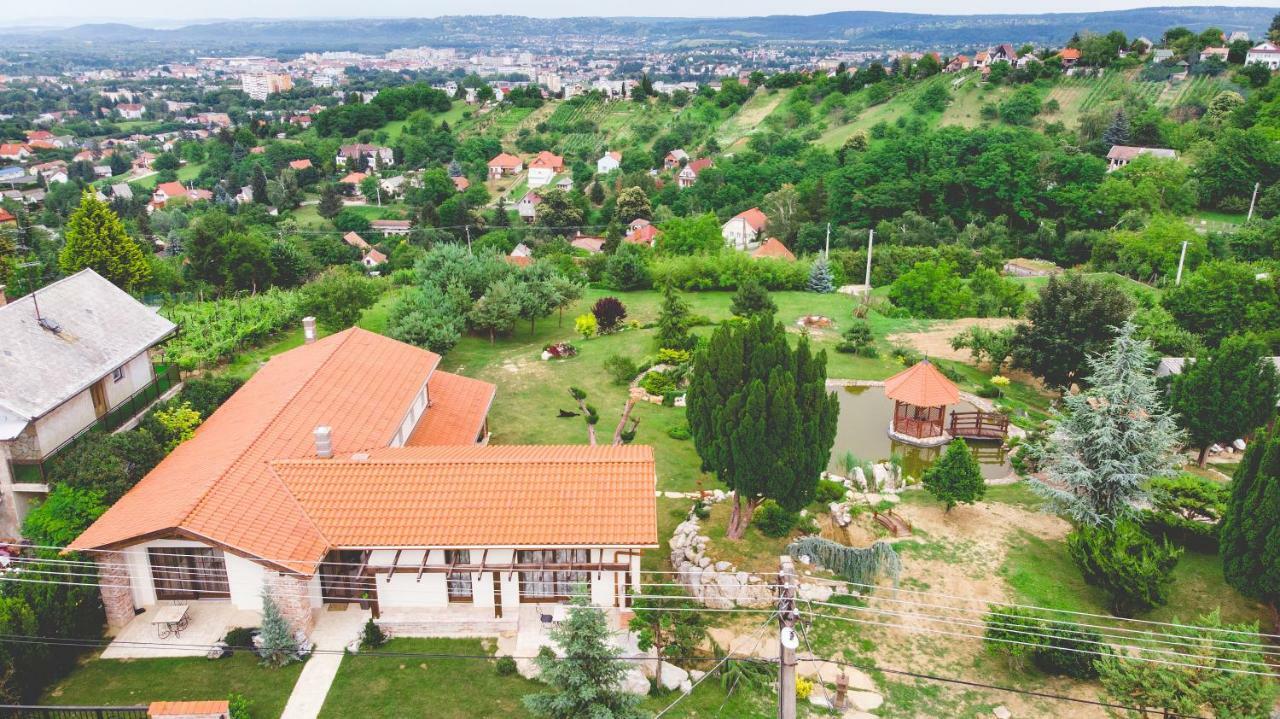 Villa Garden Zalaegerszeg Εξωτερικό φωτογραφία